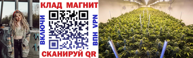 Все наркотики Биробиджан Марихуана  Псилоцибиновые грибы  Меф мяу мяу  Cocaine  Alpha-PVP 