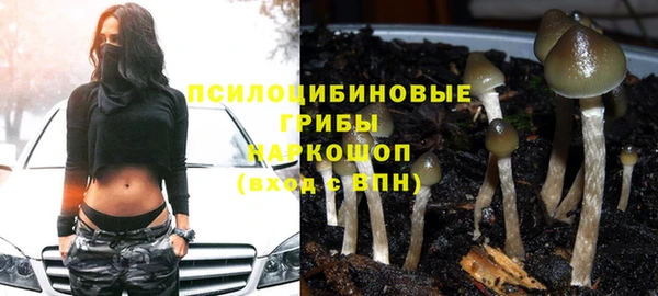 круглые Новодвинск