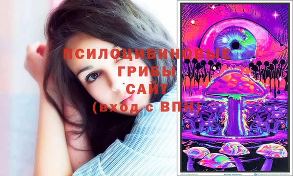 винт Вяземский