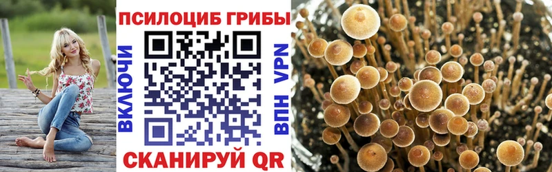площадка какой сайт  Биробиджан  ссылка на мегу   Псилоцибиновые грибы Cubensis  где купить наркотик 