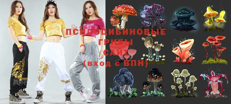 Галлюциногенные грибы Magic Shrooms  закладка  Биробиджан 