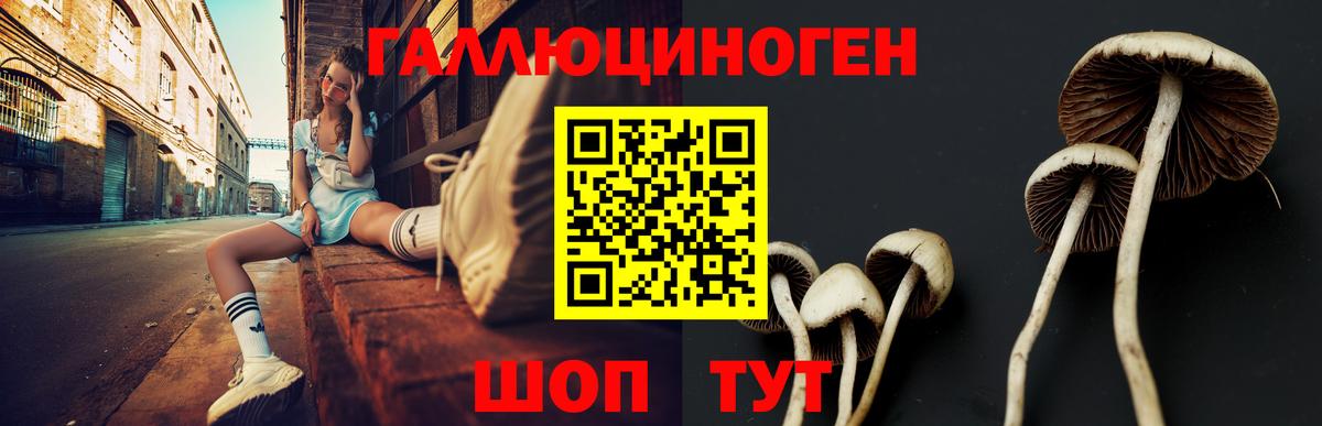 Псилоцибиновые грибы Magic Shrooms  Псилоцибиновые грибы Cubensis  Вход с VPN  Биробиджан 